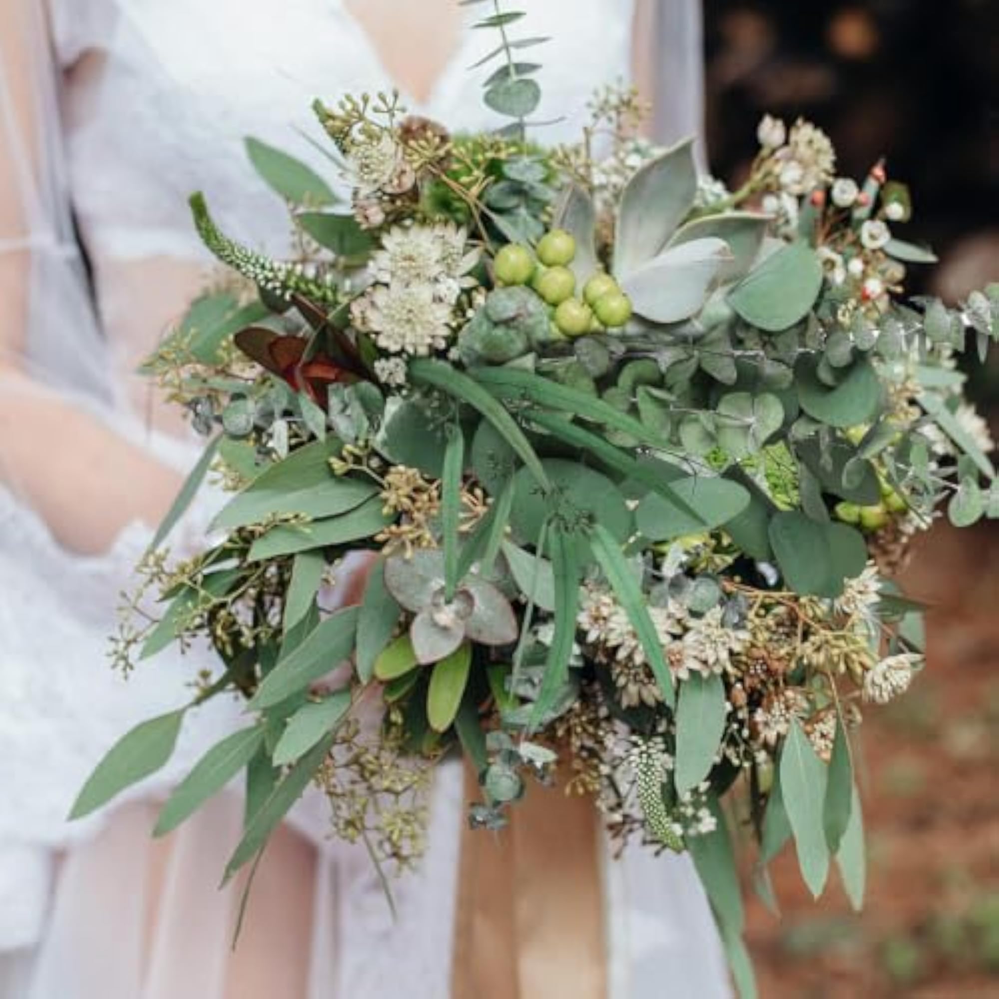 Mixed Dried Eucalyptus Bundle, 15 Pieces for Decor